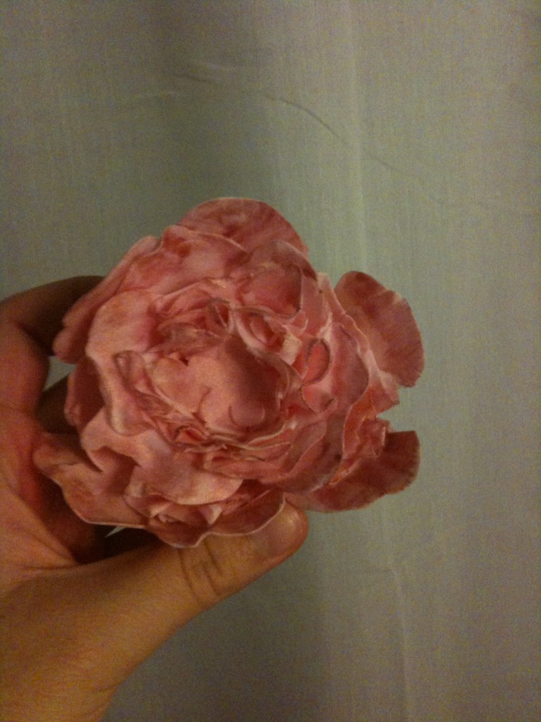 IMG_0230 IMG_0230